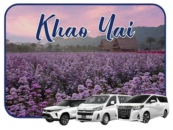 2366364-removebg-preview