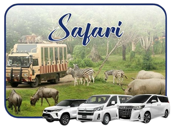 2366366-removebg-preview