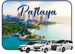 263500-removebg-preview